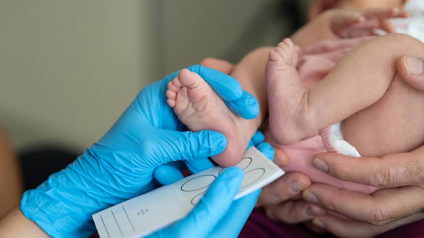 Hollanda'da Anne Destekli Sezaryenle Doğmuş İlk İkizler 20